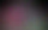 Blurred archive preview