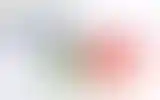 Blurred archive preview