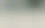 Blurred archive preview