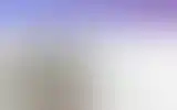 Blurred archive preview