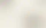 Blurred archive preview