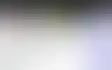 Blurred archive preview