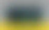 Blurred archive preview