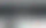 Blurred archive preview