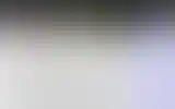 Blurred archive preview