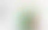Blurred archive preview
