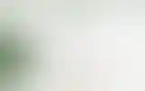 Blurred archive preview