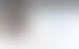 Blurred archive preview