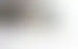 Blurred archive preview