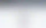 Blurred archive preview