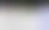 Blurred archive preview