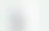 Blurred archive preview