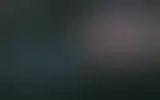 Blurred archive preview