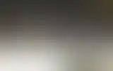 Blurred archive preview