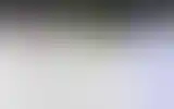 Blurred archive preview