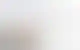 Blurred archive preview