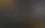Blurred archive preview