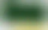 Blurred archive preview