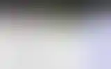 Blurred archive preview