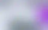 Blurred archive preview