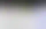 Blurred archive preview