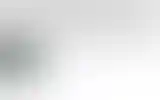 Blurred archive preview