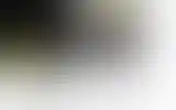 Blurred archive preview