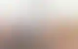 Blurred archive preview