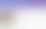 Blurred archive preview