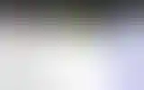 Blurred archive preview
