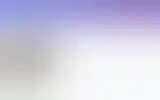Blurred archive preview