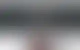 Blurred archive preview