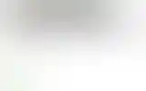 Blurred archive preview