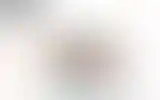 Blurred archive preview