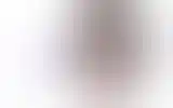 Blurred archive preview