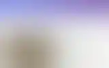 Blurred archive preview