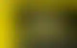 Blurred archive preview