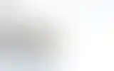Blurred archive preview
