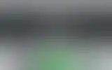 Blurred archive preview
