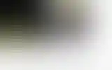 Blurred archive preview