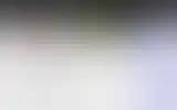 Blurred archive preview