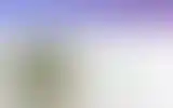 Blurred archive preview