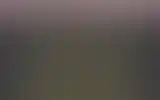 Blurred archive preview