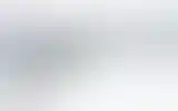 Blurred archive preview