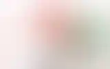 Blurred archive preview