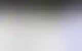 Blurred archive preview