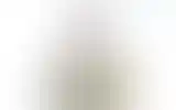 Blurred archive preview