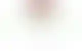 Blurred archive preview