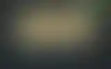 Blurred archive preview