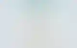 Blurred archive preview